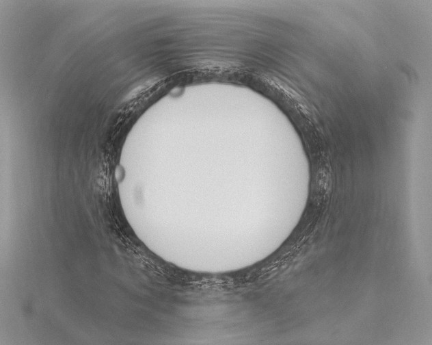 X0000115630869200912011438