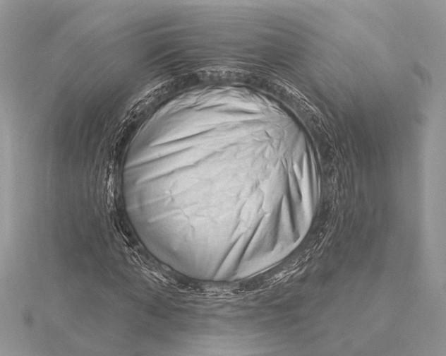 X0000115630870200912011438