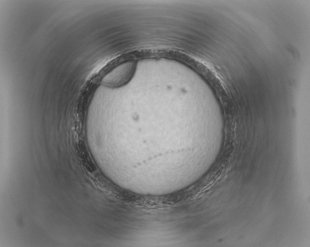 X0000115630871200912011438