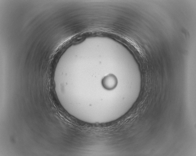 X0000115630872200912011438