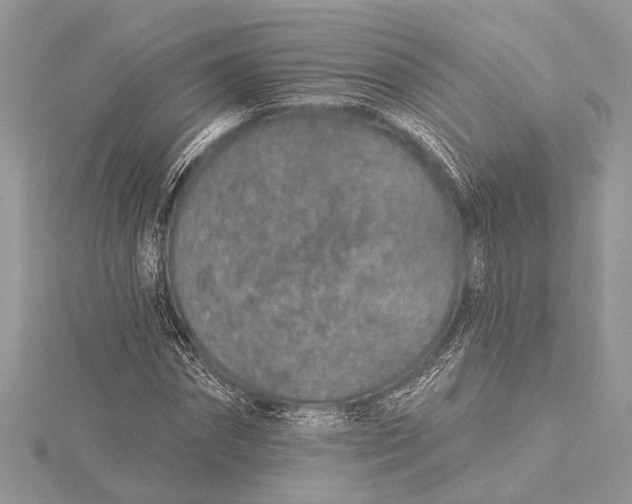 X0000115630874200912011438