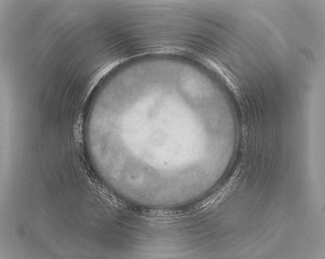 X0000115630875200912011438