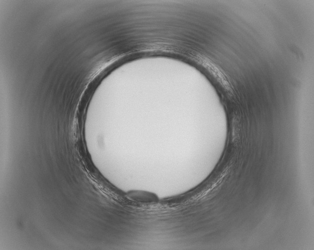 X0000115630876200912011438