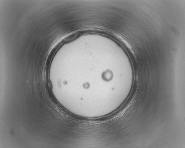 X0000115630877200912011438