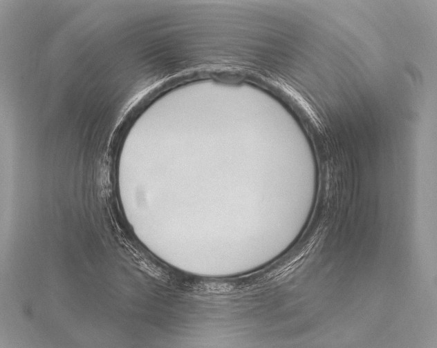 X0000115630878200912011438