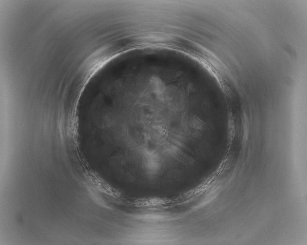 X0000115630879200912011438