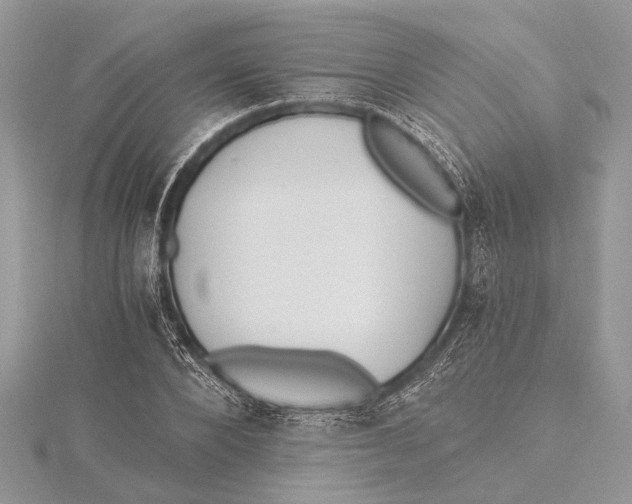 X0000115630880200912011438