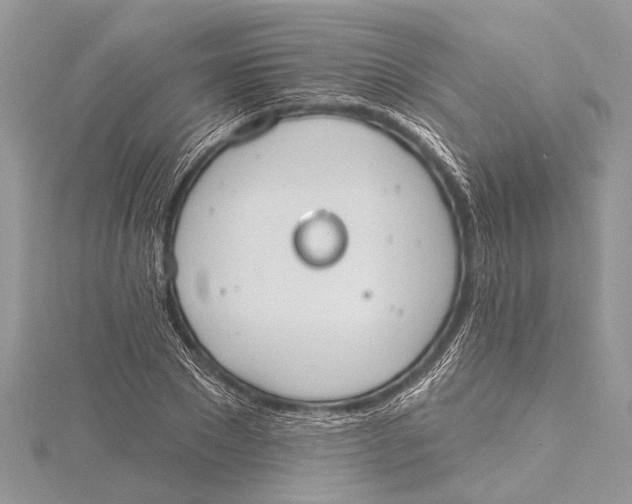 X0000115630881200912011438