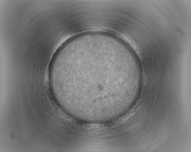 X0000115630883200912011438