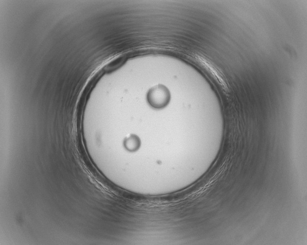 X0000115630884200912011438