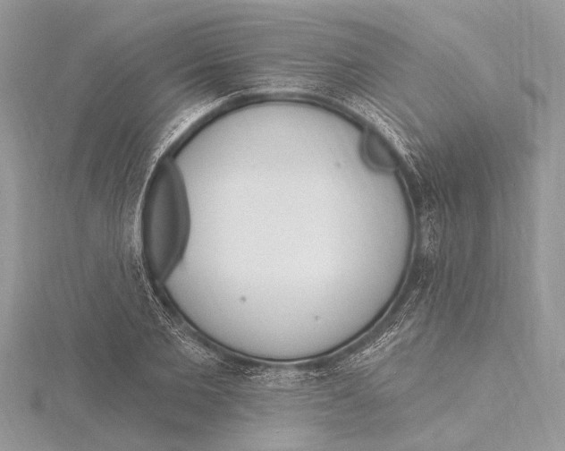 X0000115630885200912011438