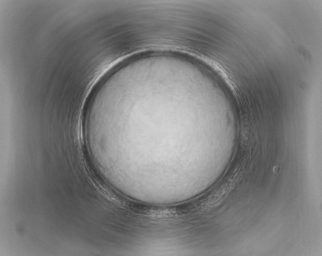 X0000115630887200912011438