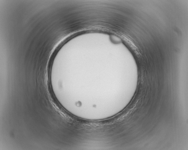 X0000115630888200912011438