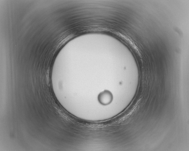 X0000115630889200912011438