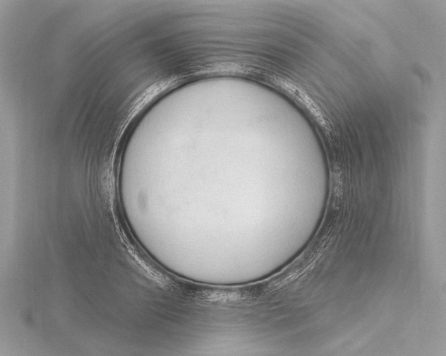 X0000115630890200912011438