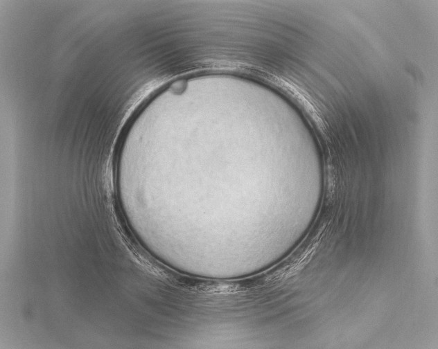 X0000115630891200912011438