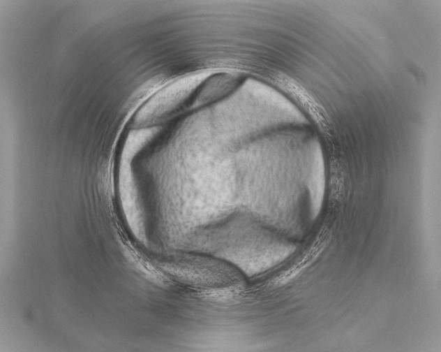 X0000115630892200912011438