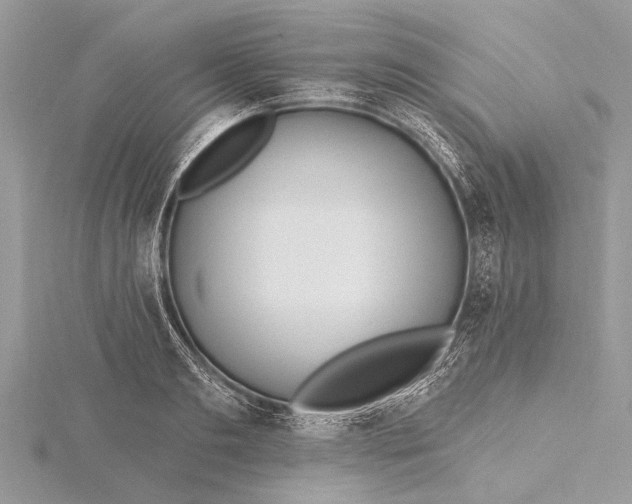 X0000115630893200912011438