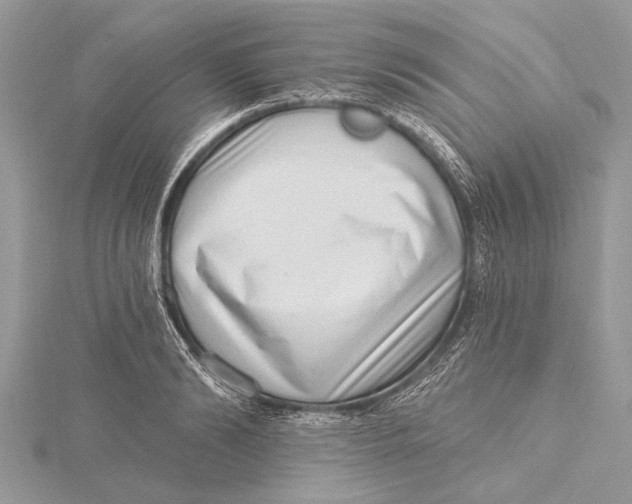 X0000115630894200912011438