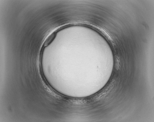 X0000115630895200912011438