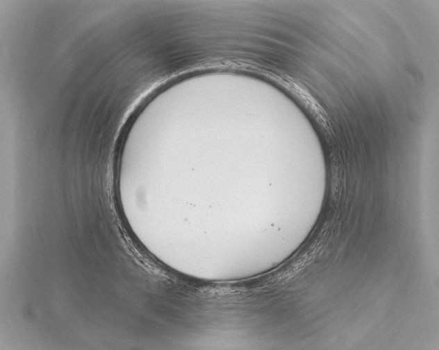 X0000115630896200912011438