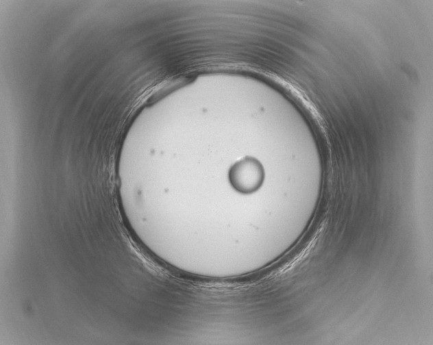 X0000115630897200912011438