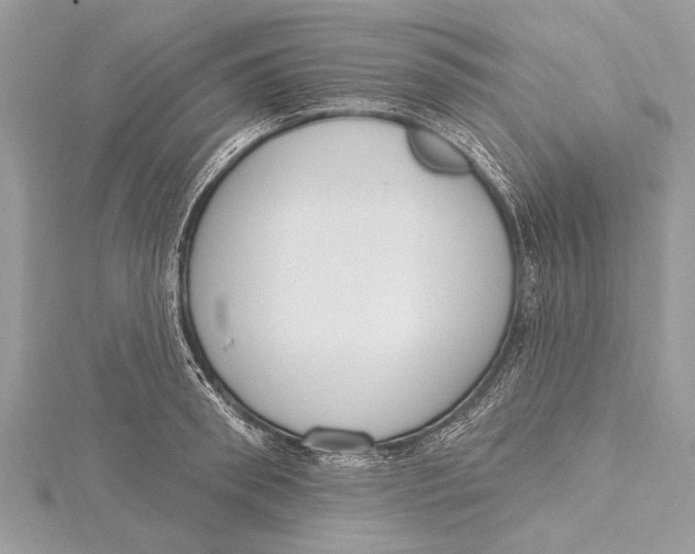 X0000115630898200912011438