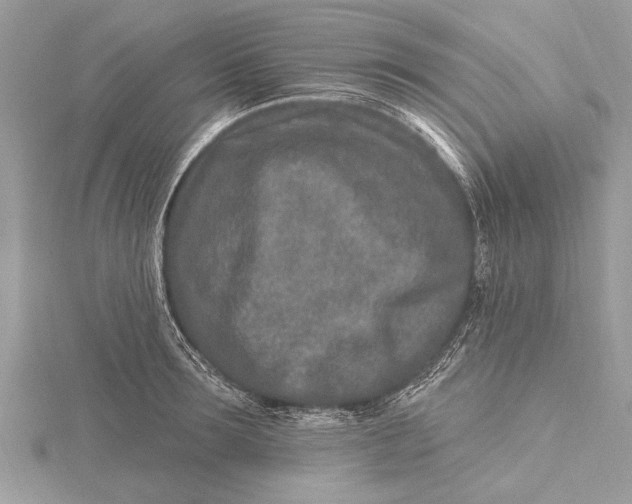 X0000115630899200912011438