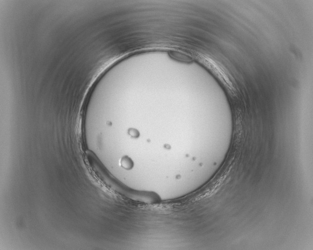 X0000115630900200912011438