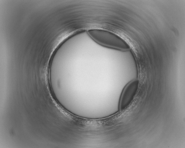 X0000115630901200912011438