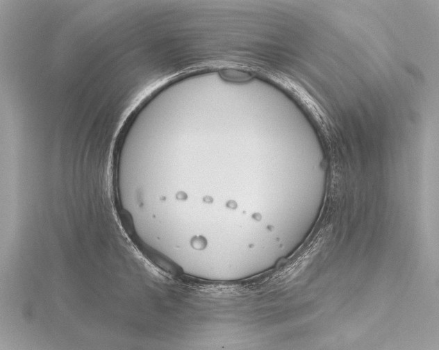 X0000115630902200912011438