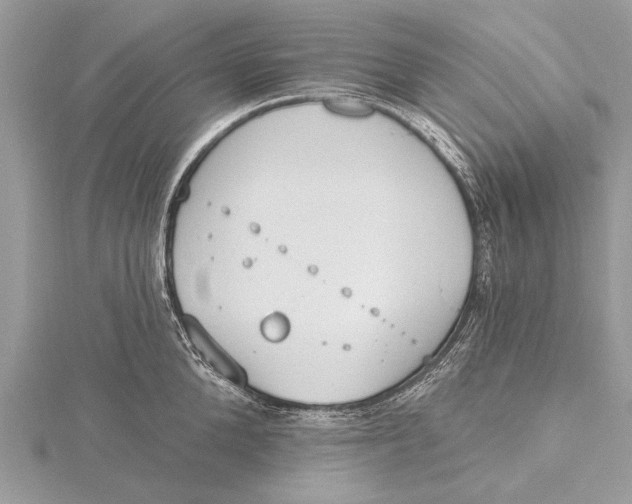 X0000115630904200912011438