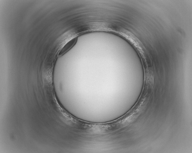 X0000115630905200912011438