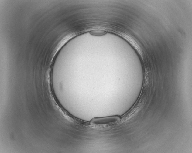 X0000115630906200912011438