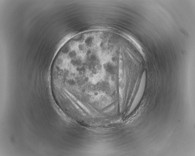 X0000115630907200912011438