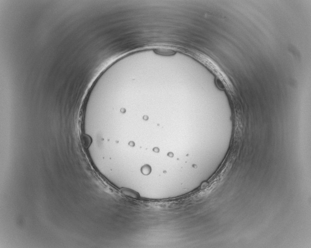 X0000115630908200912011438