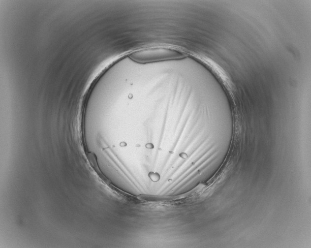 X0000115630910200912011438