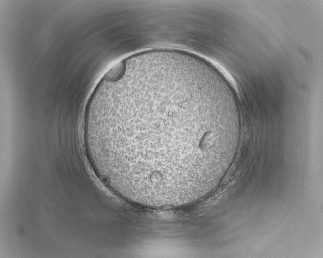 X0000115630911200912011438