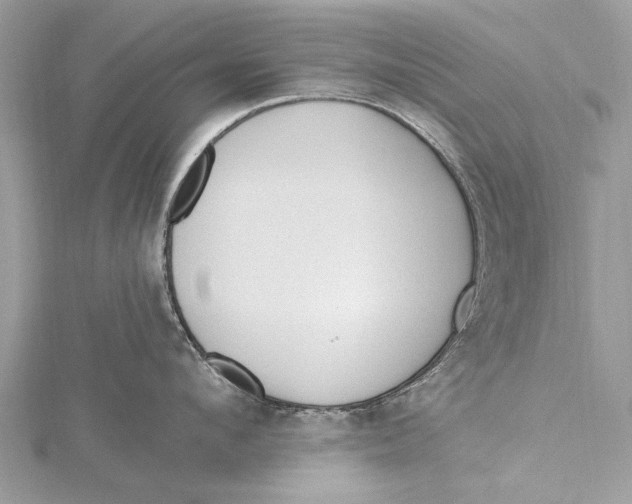 X0000115630912200912011438