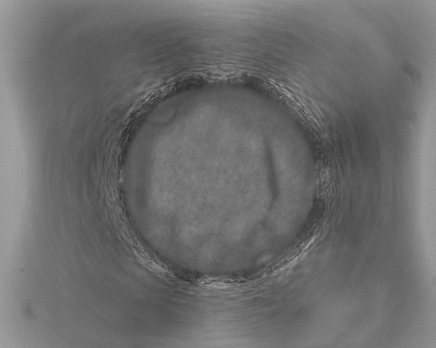 X0000115630913200912011437