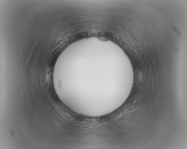 X0000115630914200912011437