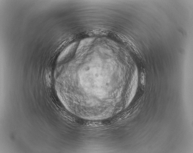 X0000115630915200912011437