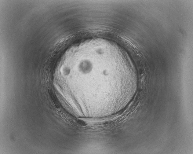 X0000115630917200912011437