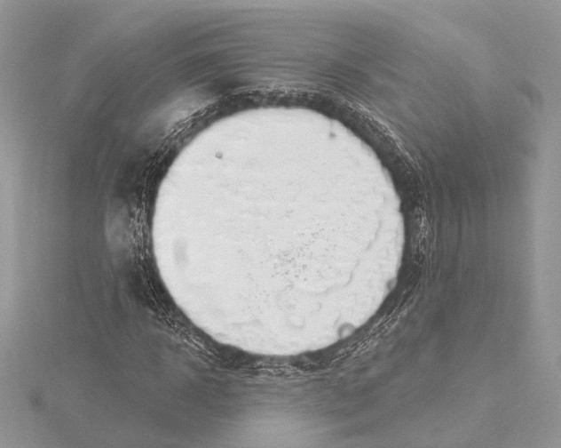 X0000115630918200912011437