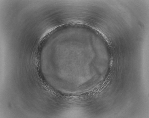 X0000115630919200912011437