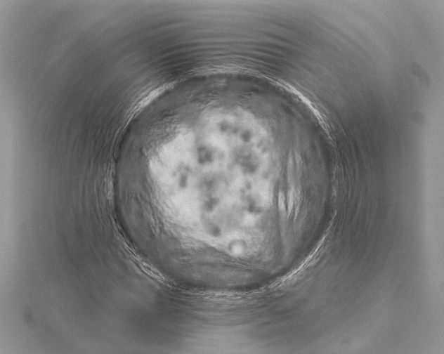 X0000115630921200912011437