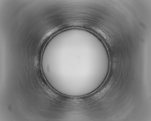 X0000115630922200912011437