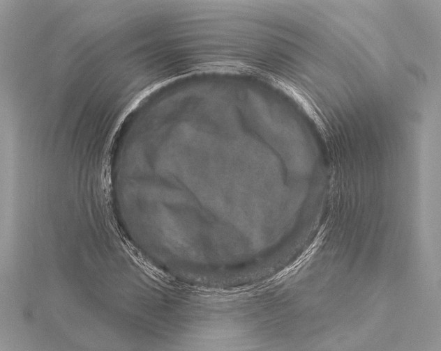 X0000115630923200912011437