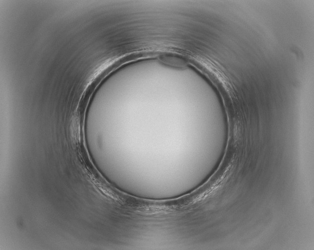 X0000115630925200912011437