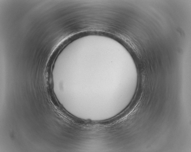 X0000115630926200912011437